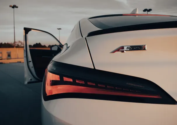 Pino Casino Application Android/iOS